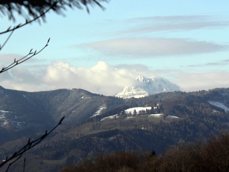 Datei:EST Loicheck Blick-Ötscher.jpg
