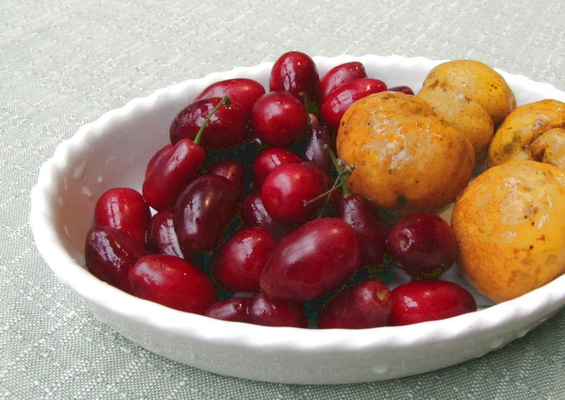 Datei:Jolico Quitten2.jpg