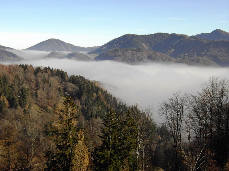 Datei:SD Nebel Pannorma.jpg