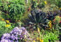 Naturgartenidyll2.jpg