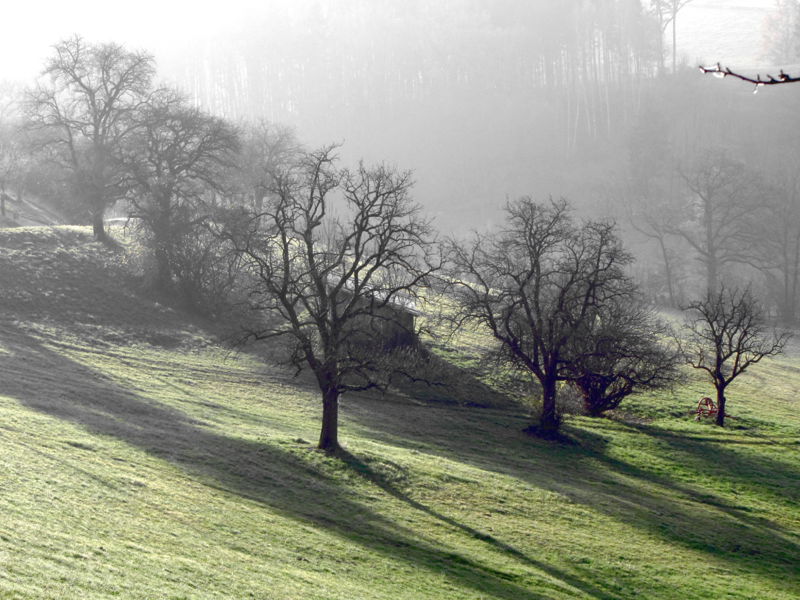 Datei:HR Streubobst Herbst.jpg