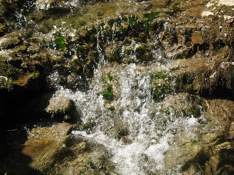 Datei:Soiserbach5 Sommer 2009.jpg