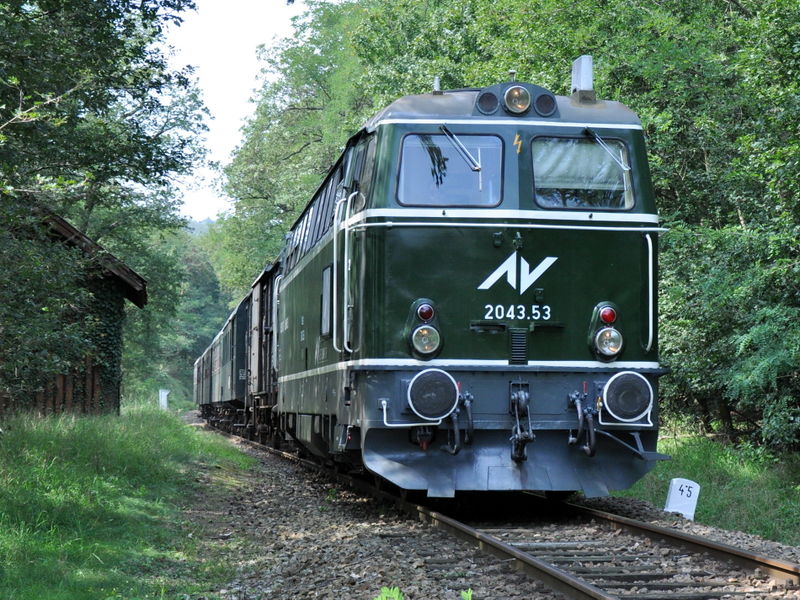 Datei:Reblausexpress HU Hölzelmühle Alfred Schmid.JPG