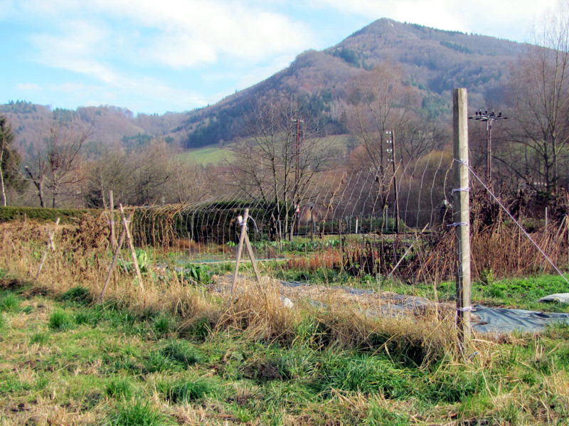 Datei:SG PBett- Fisolenzaun Winter.jpg