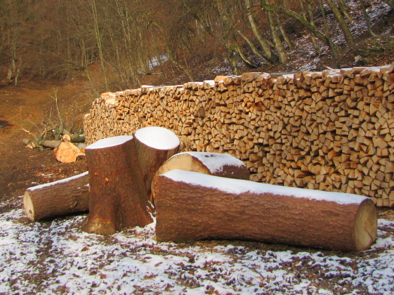 Datei:Holzstoß Springer.jpg