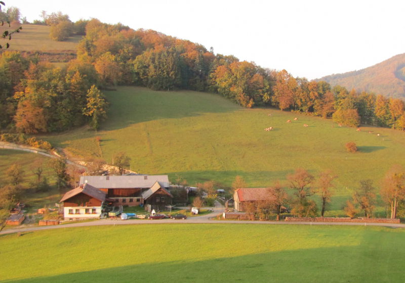 Datei:Plespitz Herbst.jpg
