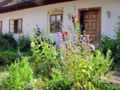 SD Bauernhaus-Nordseite.jpg