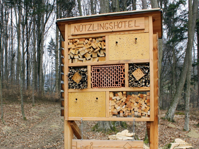 Datei:Nützlingshotel Pfarrwald.jpg