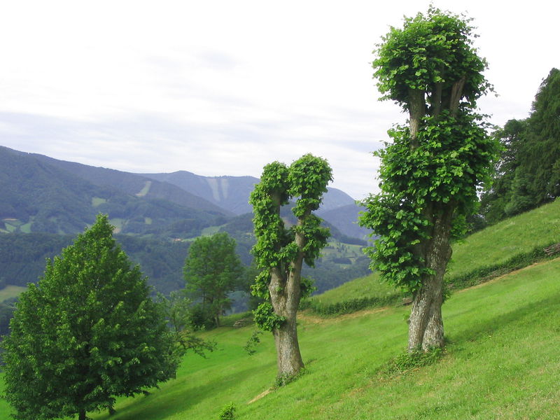 Datei:Exkurionslandschaft Schnoatbam.jpg