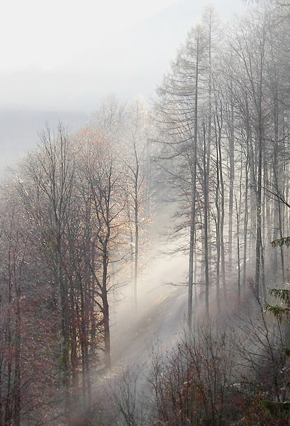 Datei:SD Herbststimmung1.jpg