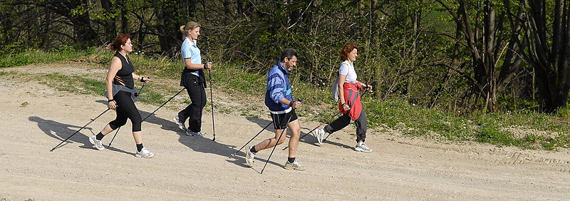 Datei:Nordic Walking tour.jpg