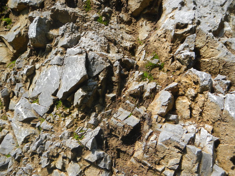 Datei:Gutensteiner Kalk.JPG