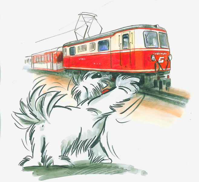 Datei:MZB und Hund.jpg