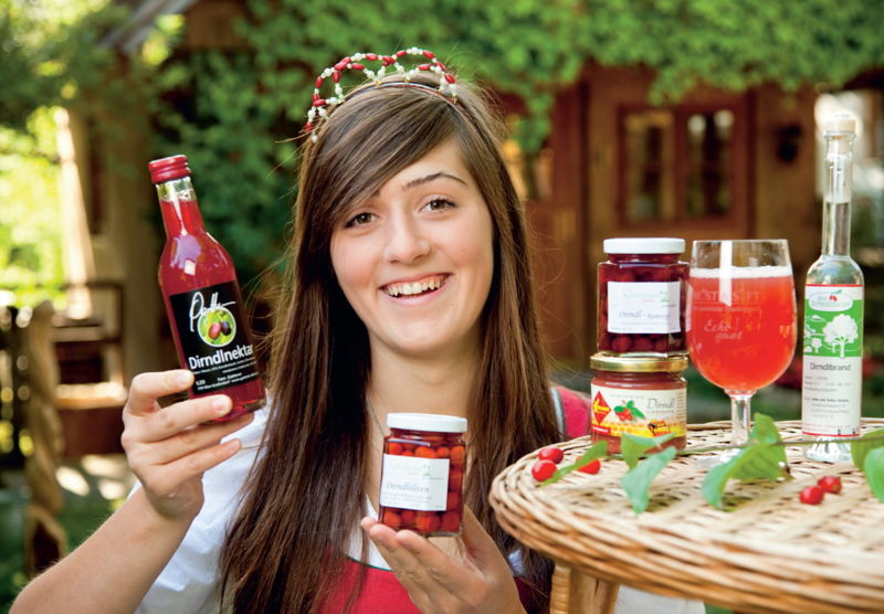 Datei:Johanna Dirndl.jpg