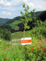 Nachhaltigkeits-Dirndl.jpg