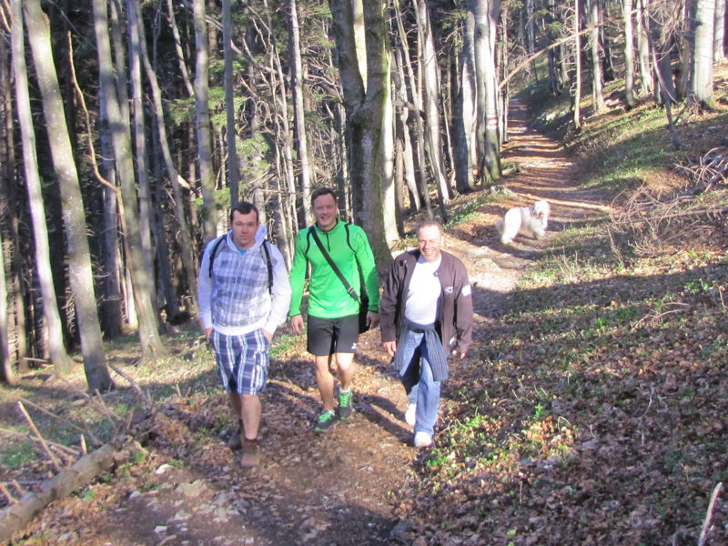 Datei:ESt Waldweg Gäste.jpg