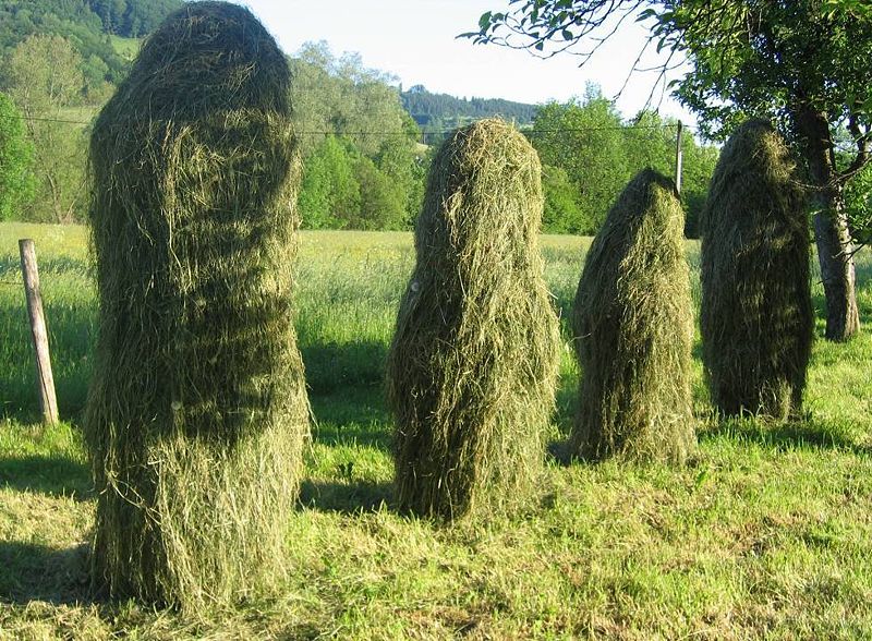 Datei:Kleehüfeln beim Haus Steiner.jpg