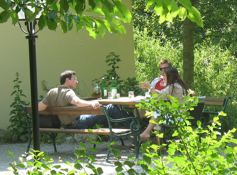 Datei:Seminar im Grünen1.jpg