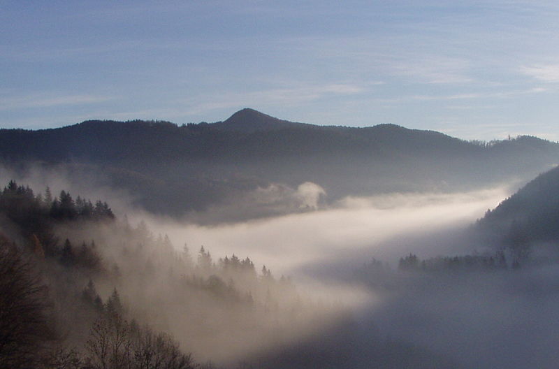 Datei:Steinschaler Dörfl übern Nebel.jpg
