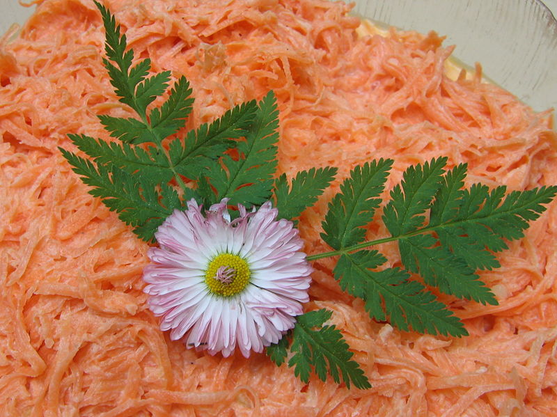 Datei:Blüten am Karrotensalat.jpg