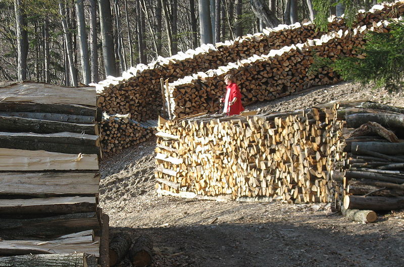 Datei:Brennholz Gasibühel.jpg