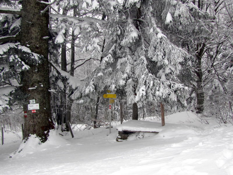 Datei:EST Überstieg Winter.jpg