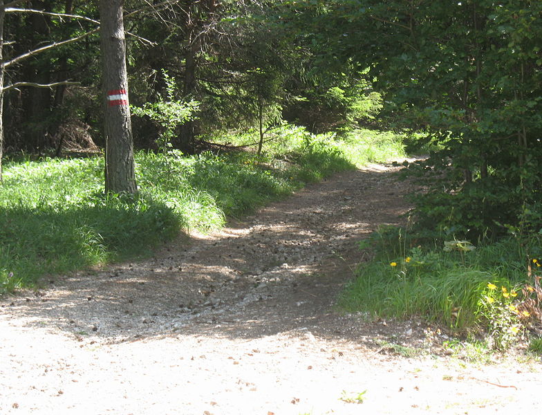 Datei:Abzweigung nach Holzplatz.jpg
