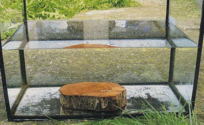 Datei:Dirndlholz im Wasser.jpg