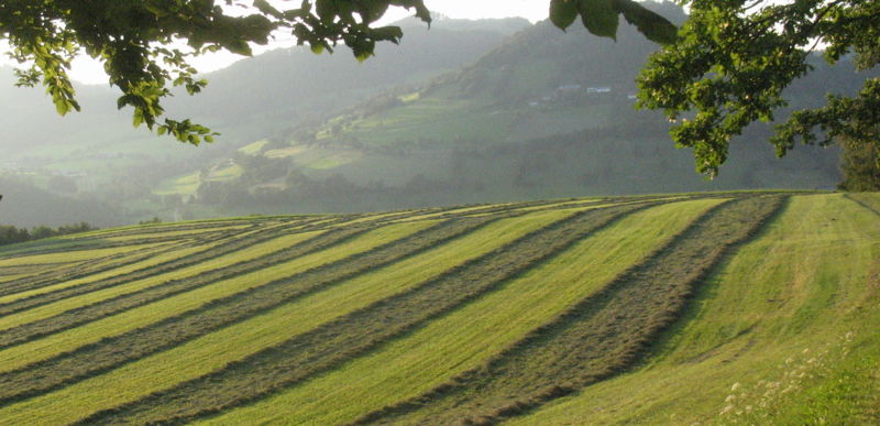 Datei:Heumahden Edt 2009.jpg