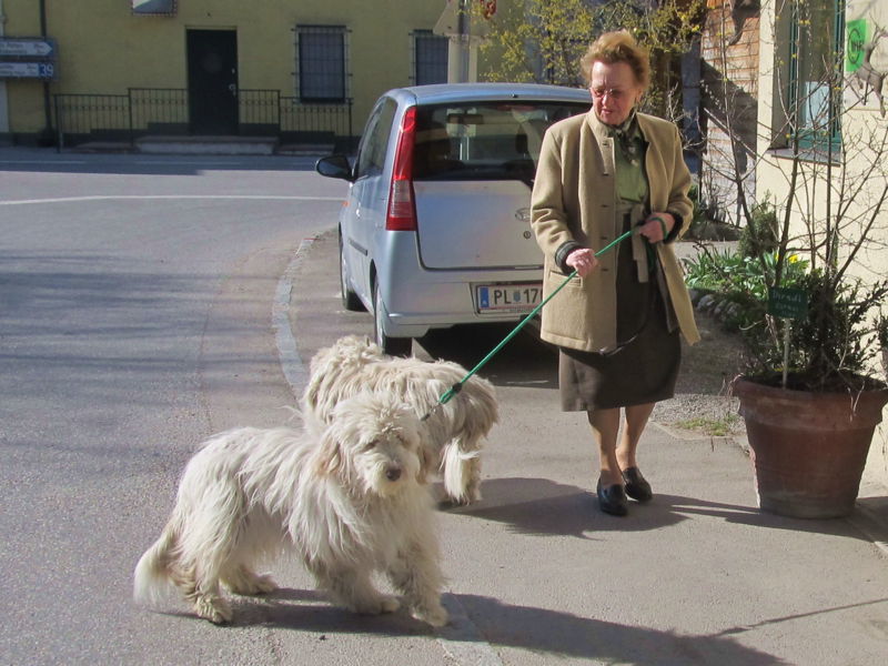 Datei:Oma Hetra Hunde.jpg