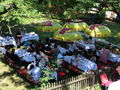 SH Sommer Gartenfest.JPG