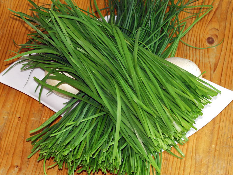 Datei:SK Knolauch u Schnittlauch.jpg