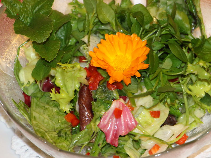 Datei:SK Salatschüsserl Mitte Nov.jpg