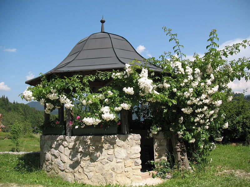 Datei:Brunnensalettl Steinschaler Dörfl.jpg