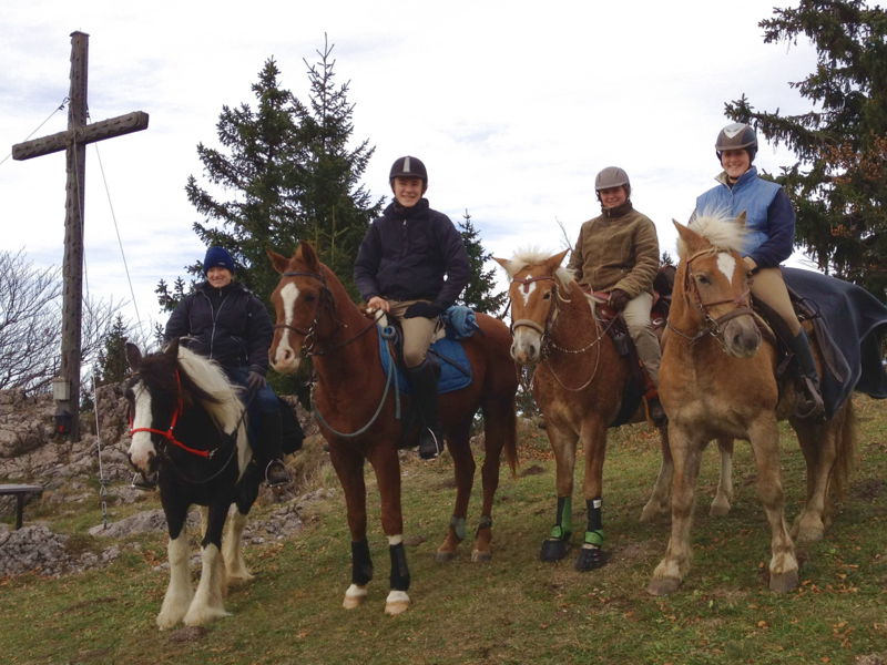 Datei:EST Pferde Okt2012.jpg