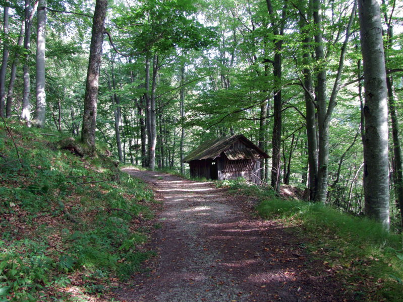 Datei:Aufstieg Hohenstein Sois.jpg