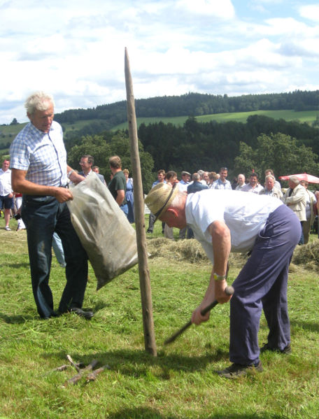 Datei:Heufest2009 Schoberstecken.jpg