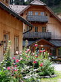 Dorfplatz Sommer Blumen.jpg