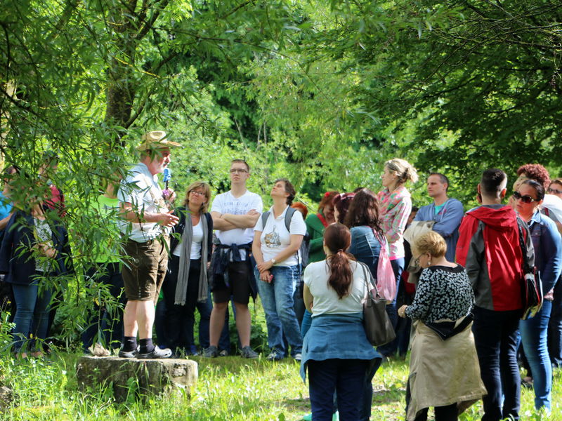 Datei:SG JW Gartenführung.JPG