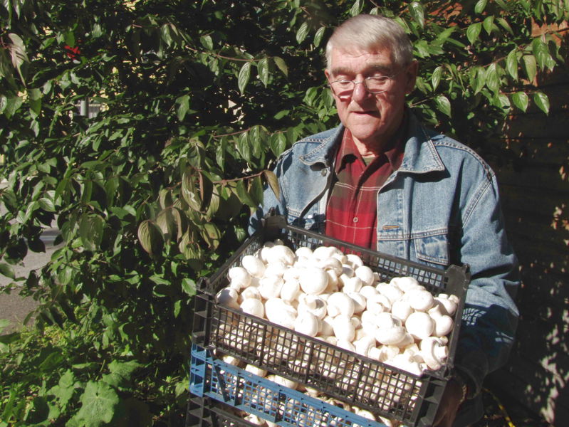 Datei:SK-Weissenabacher Champignon.jpg