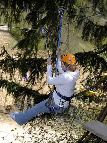 Datei:SD Flying Fox .jpg