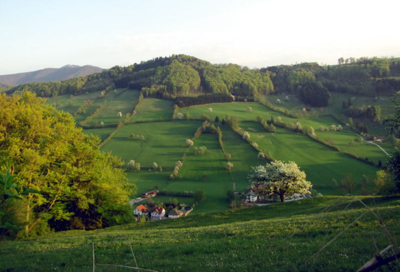 Datei:KL Tradigist Frühling 2.jpg