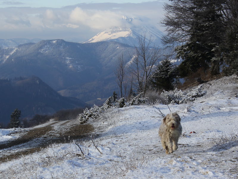 Datei:EST Paula Ötscher.jpg