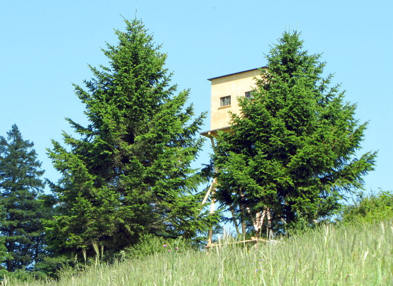 Datei:EST Hochstand.jpg