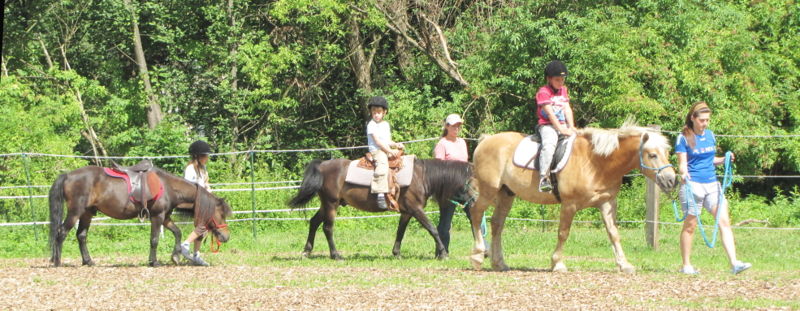 Datei:SH Pferdestreifen.jpg