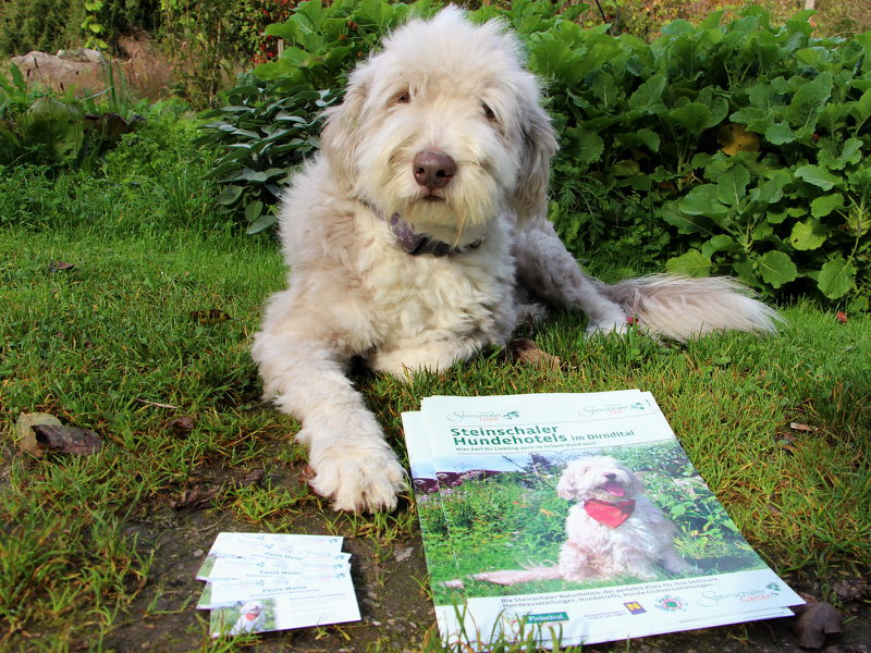Datei:Paula wirbt mit Hundefolder.jpg