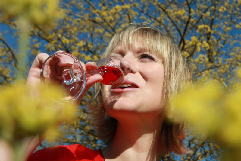 Datei:Dirndlblüte-Likör WF.jpg