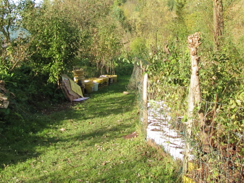 Datei:SG Dirndlgasse4.jpg