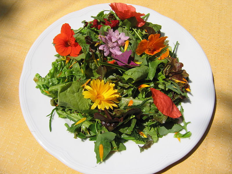 Datei:SH Wildkräutersalat.jpg