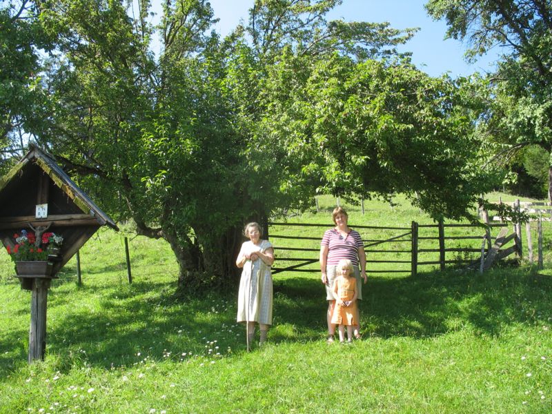 Datei:Feuchtner-Dirndl.jpg